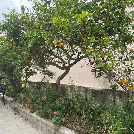 La Casa Del Cedro A 8 Teulada