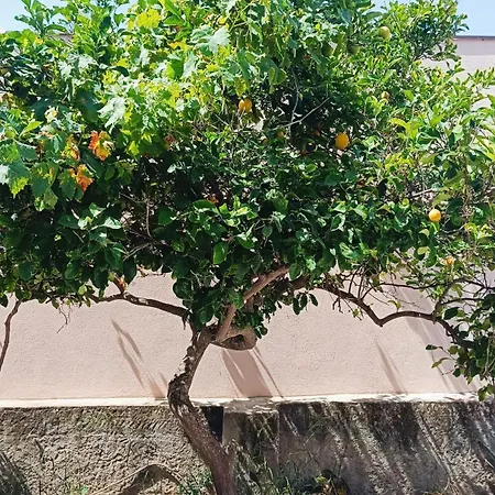 La Casa Del Cedro A 8 Holiday home